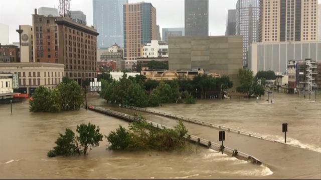 Houston facing more rain as flooding cripples city | TheStarTV.com