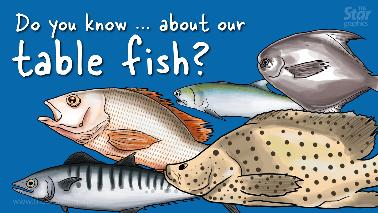 Do you know... about our table fish? | TheStarTV.com
