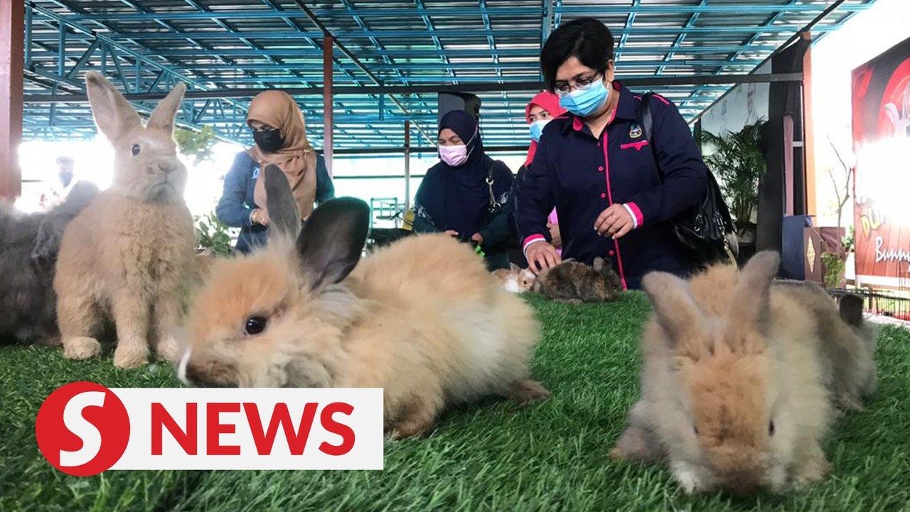 Lost World Petting Zoo Ipoh Perak