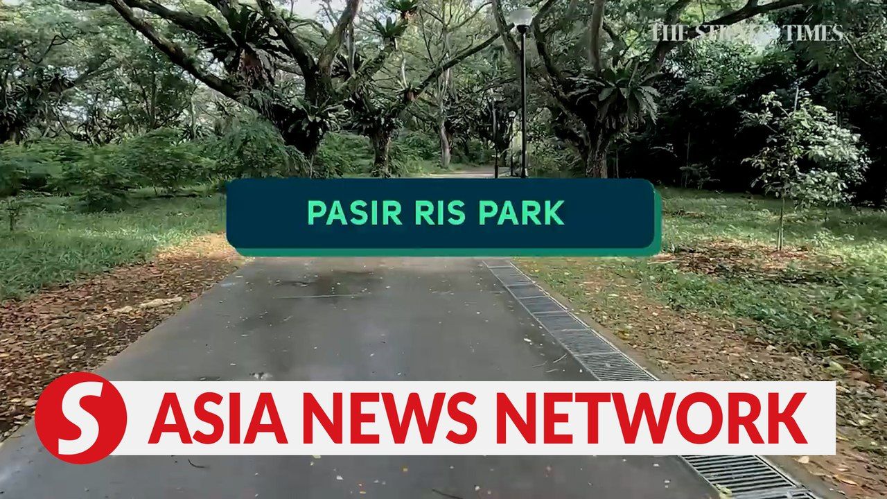 The Straits Times | Three ways to enjoy Pasir Ris Park | TheStarTV.com