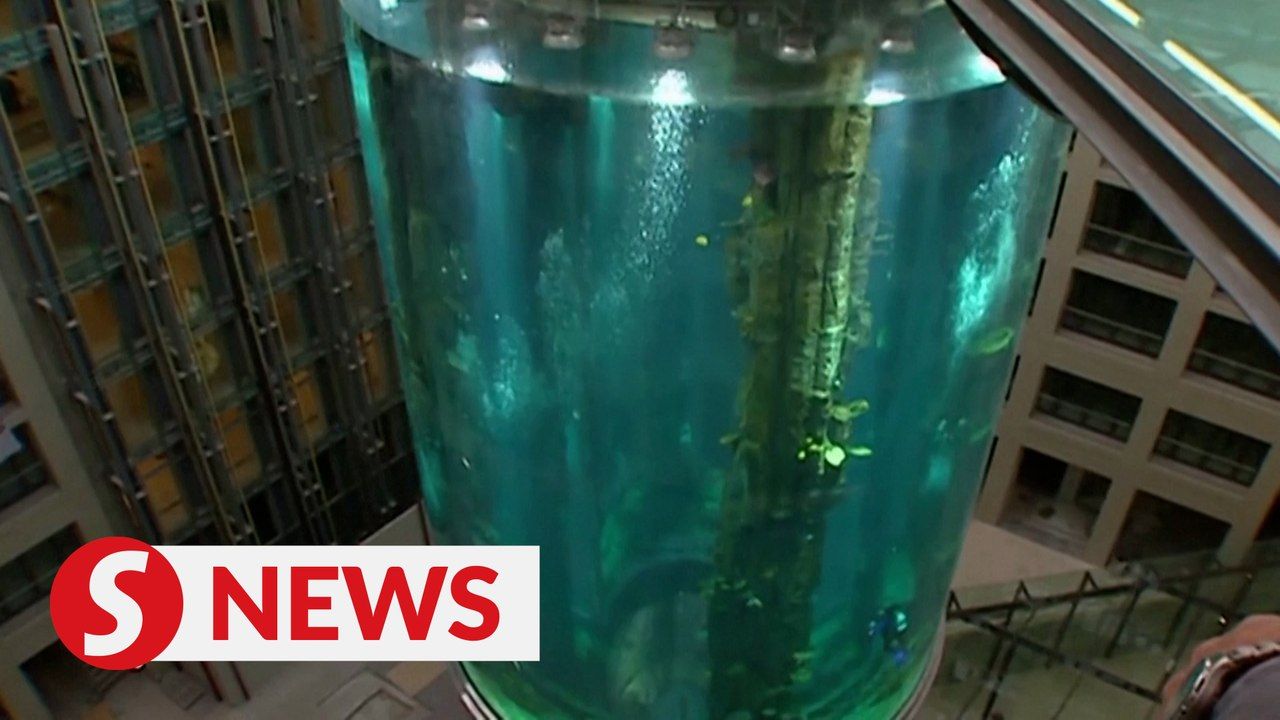 Giant aquarium bursts in Berlin hotel lobby