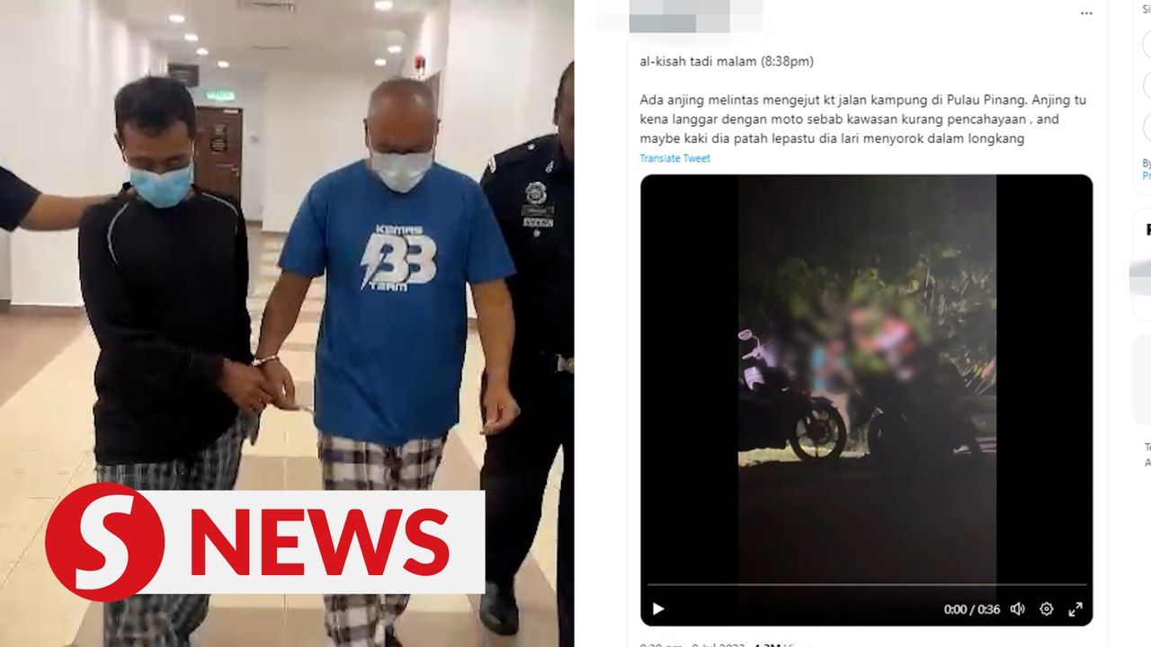 Duo claim trial to animal cruelty charge in dog bludgeoning incident ...