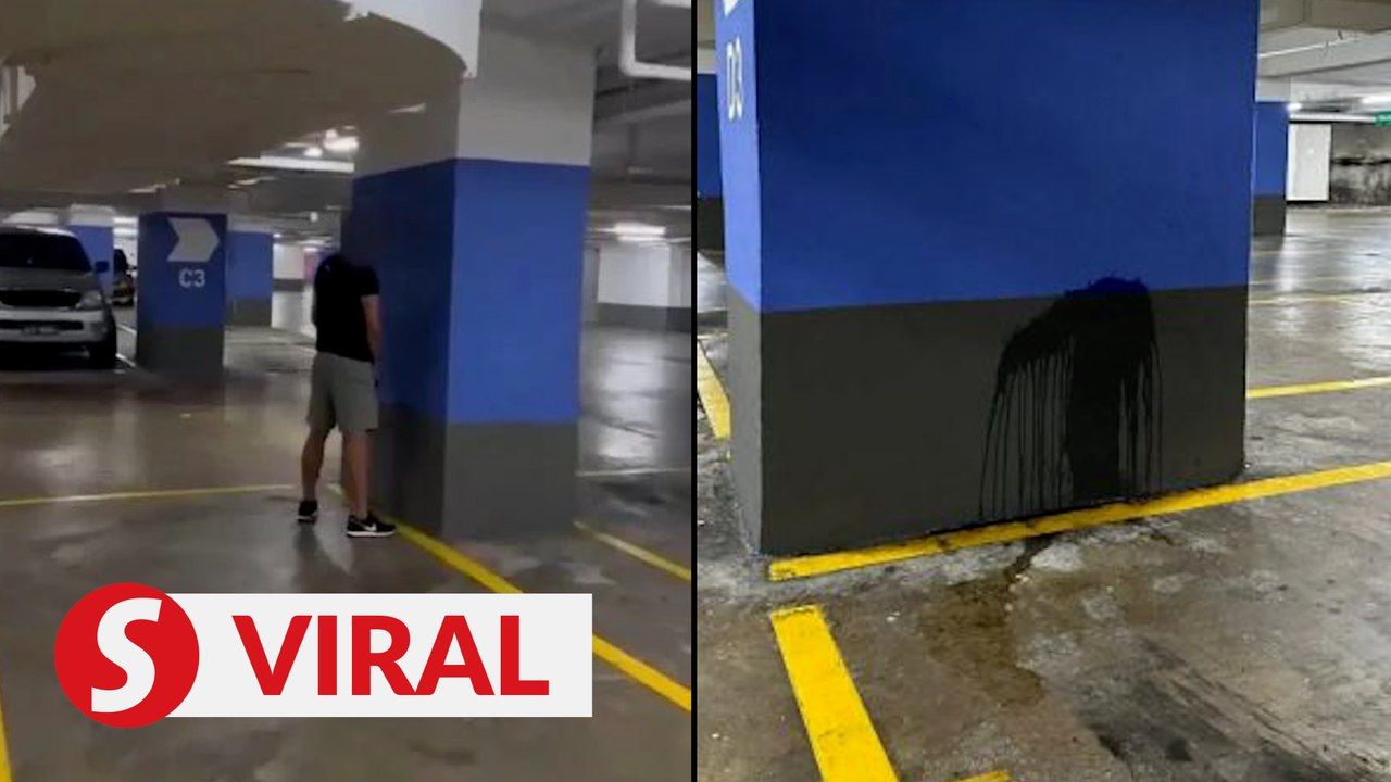 cops-nab-man-caught-on-video-peeing-at-parking-lot-thestartv
