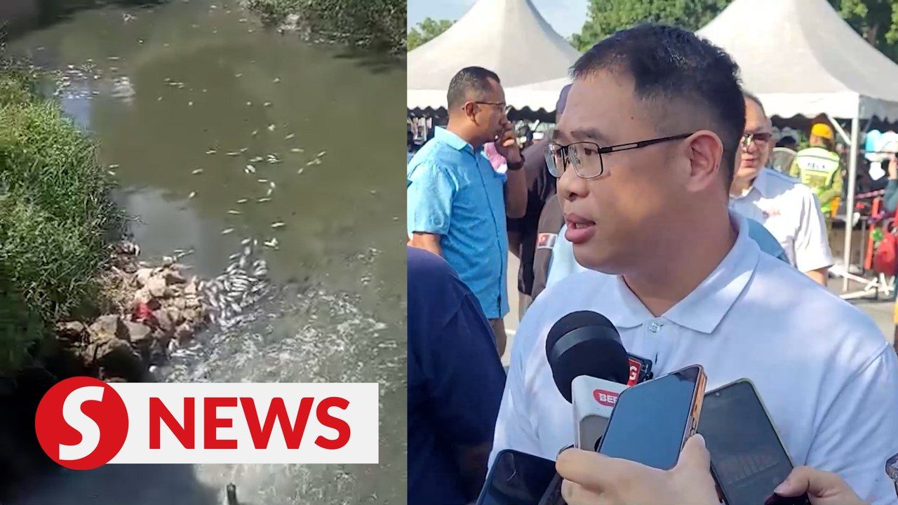 Dead fish in Kulai lake believed to be linked to sewage treatment plant ...