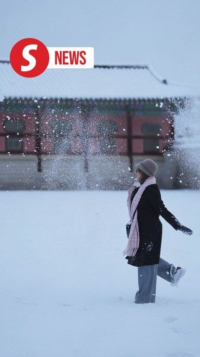 Flights grounded, power cut as record November snowfall hits Seoul ...
