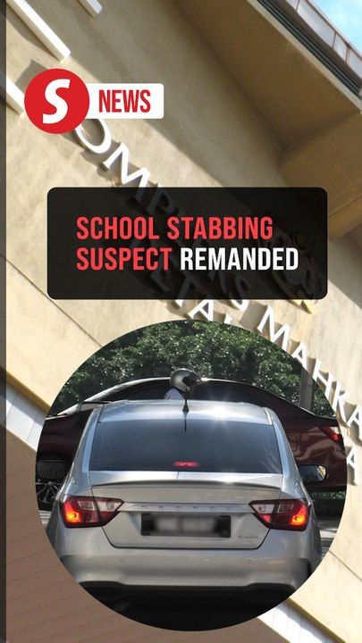 Suspect in school student stabbing case remanded for seven days ...