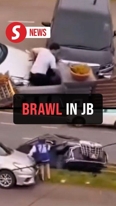 MPV driver nabbed over viral brawl | TheStarTV.com
