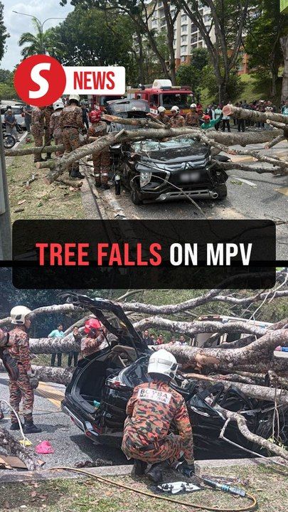 Two hurt as falling tree crushes MPV in Shah Alam | TheStarTV.com